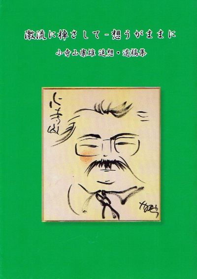 『激流に棹さしてー想うがままに』